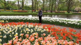 2014-04-17 Holland Tulips 53.jpg